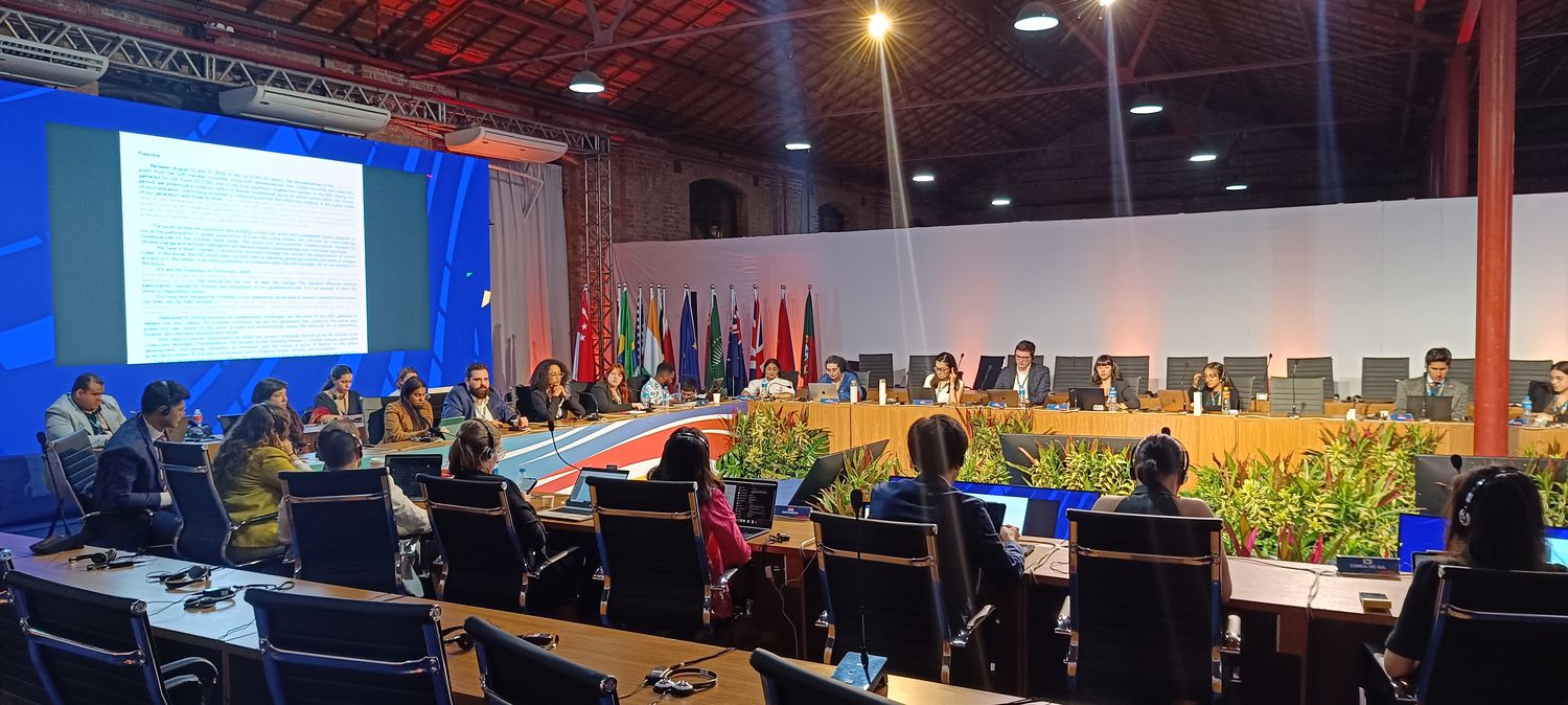 Reunião internacional com bandeiras e projeção
